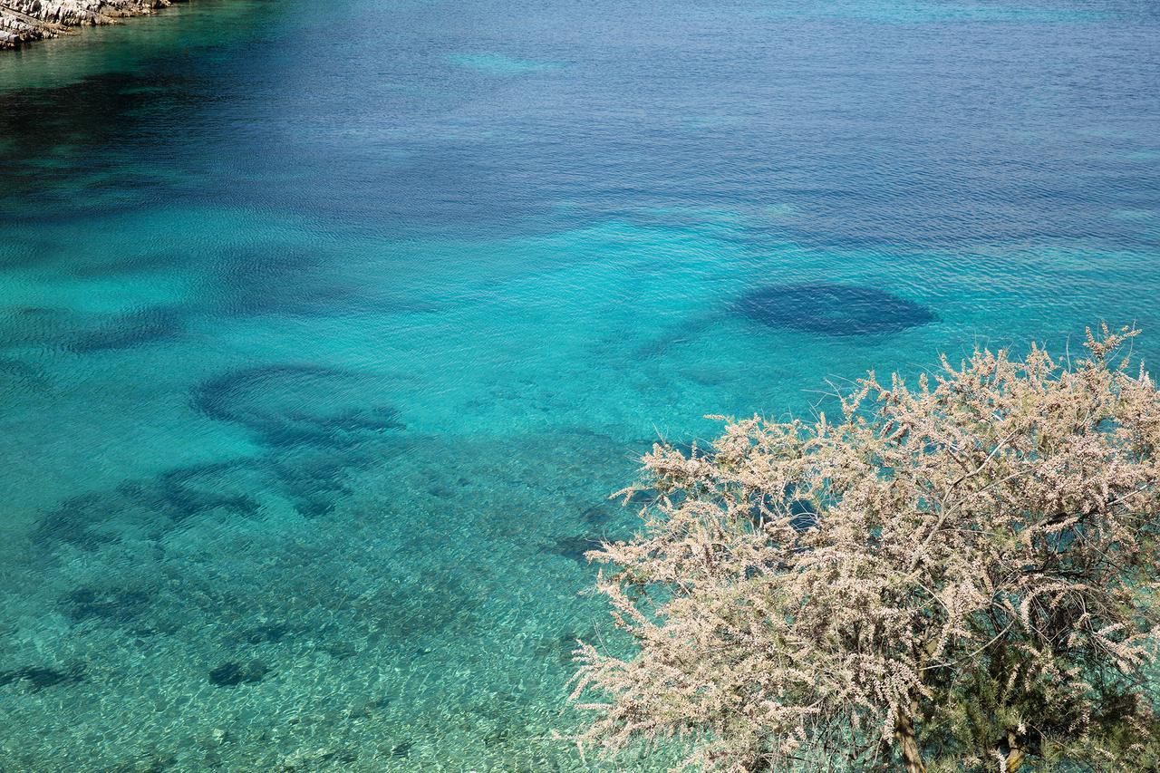 Little Green Bay Hotel Hvar Island Esterno foto